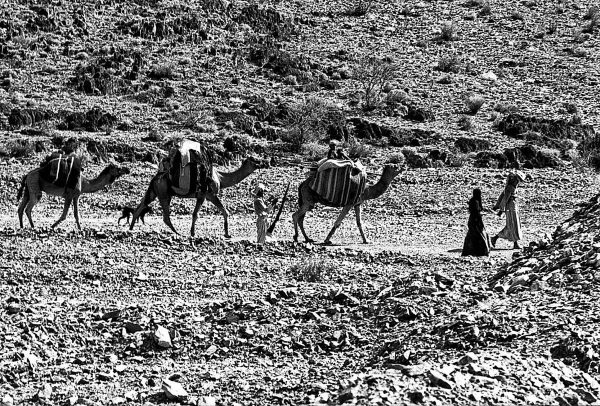 صورة تعبيرية لعرب يرتحلون في بادية الحجاز